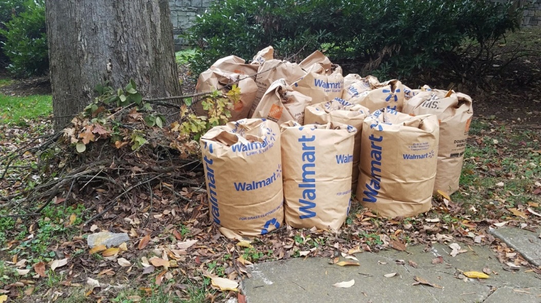 Leaves, Leaves, Everywhere! Nashville.gov