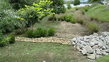 Bioretention