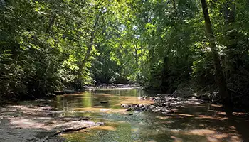 Watershed Management