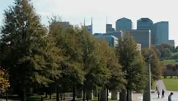 Tree Canopy Assessment and Urban Tree Inventory