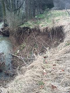 Whites Creek, before