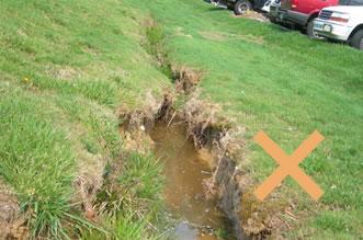 Grassy Swales Improperly Maintained