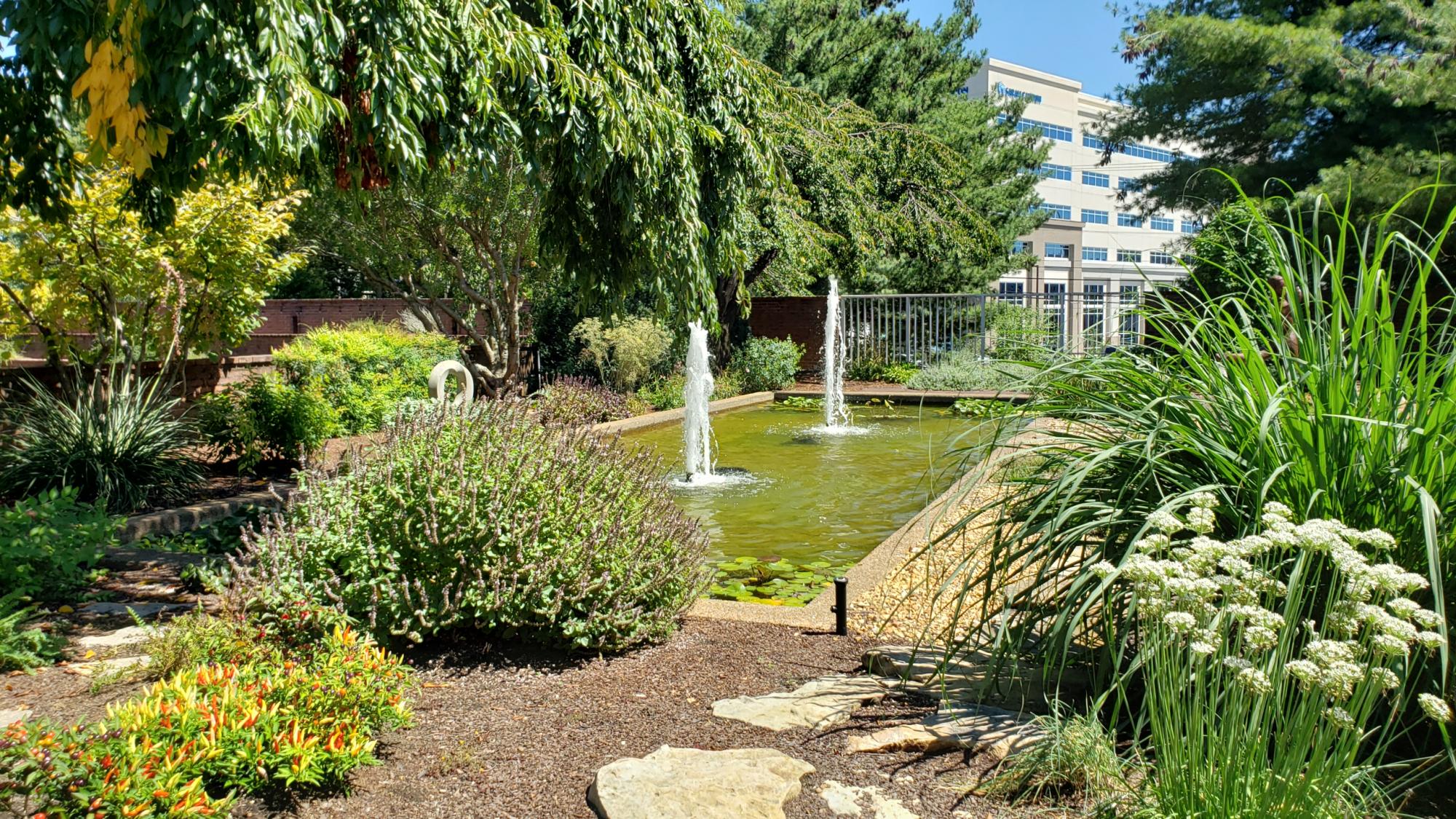 herb garden
