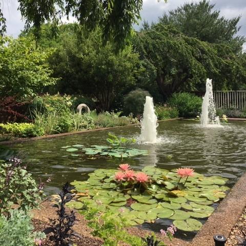 fountains