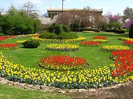 Sunken Garden
