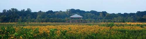 Panoramic photo of Shelby Bottoms