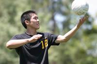 Volleyball Picture