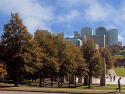 Autumnal Skyline