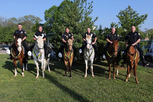 Photo of Mounted patrol on their horses