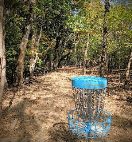 Basket Web