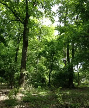 Wharf Park Photo