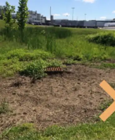 Bioretention Improperly Maintained