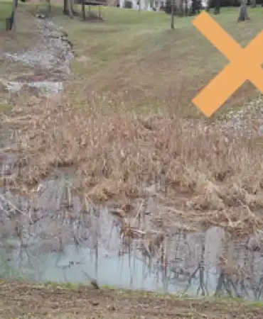 Dry Detention Pond Improperly Maintained