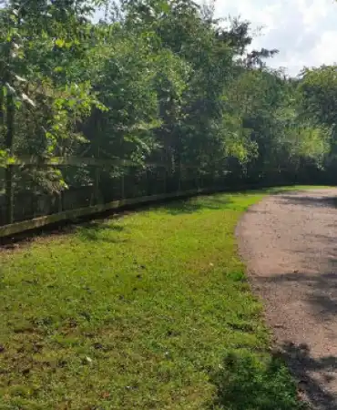 Hartman Park