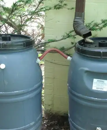 Rain barrels