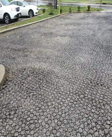 TrueGrid Pavers
